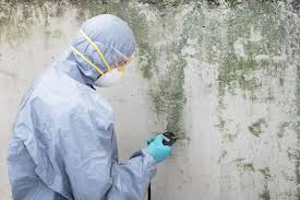 Best Airborne Mold Testing  in Beaumont, TX